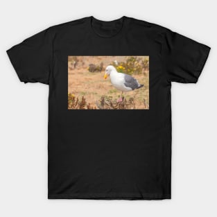 Thinking Gull T-Shirt